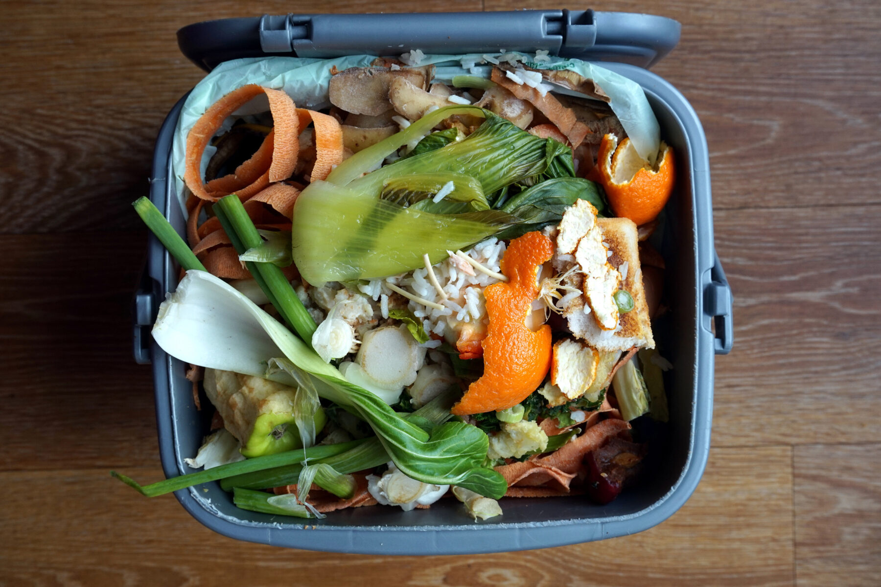 Celebrating our First Anniversary: Center for Food Conservation and Waste Reduction
