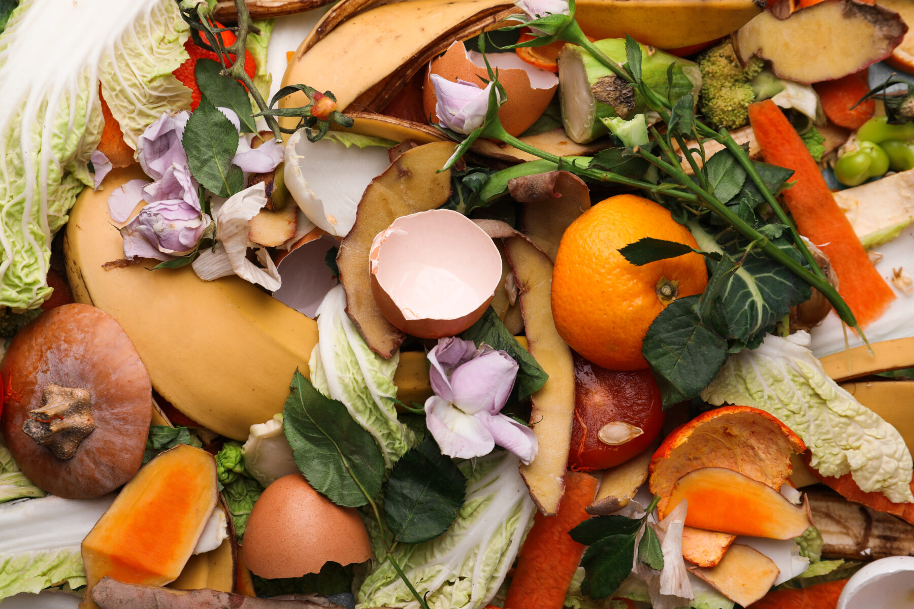 Researchers turn food waste into biodegradable plastic