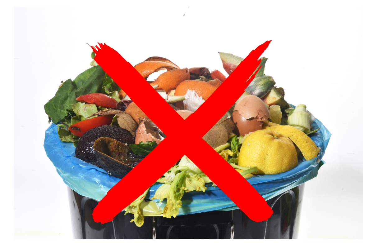 Bloomington residents take action in city-wide stop food waste challenge to promote sustainability and reduce landfill impact