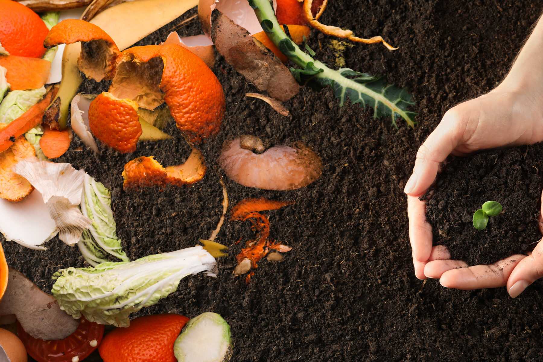 How New York turns millions of pounds of food waste into ‘black gold’
