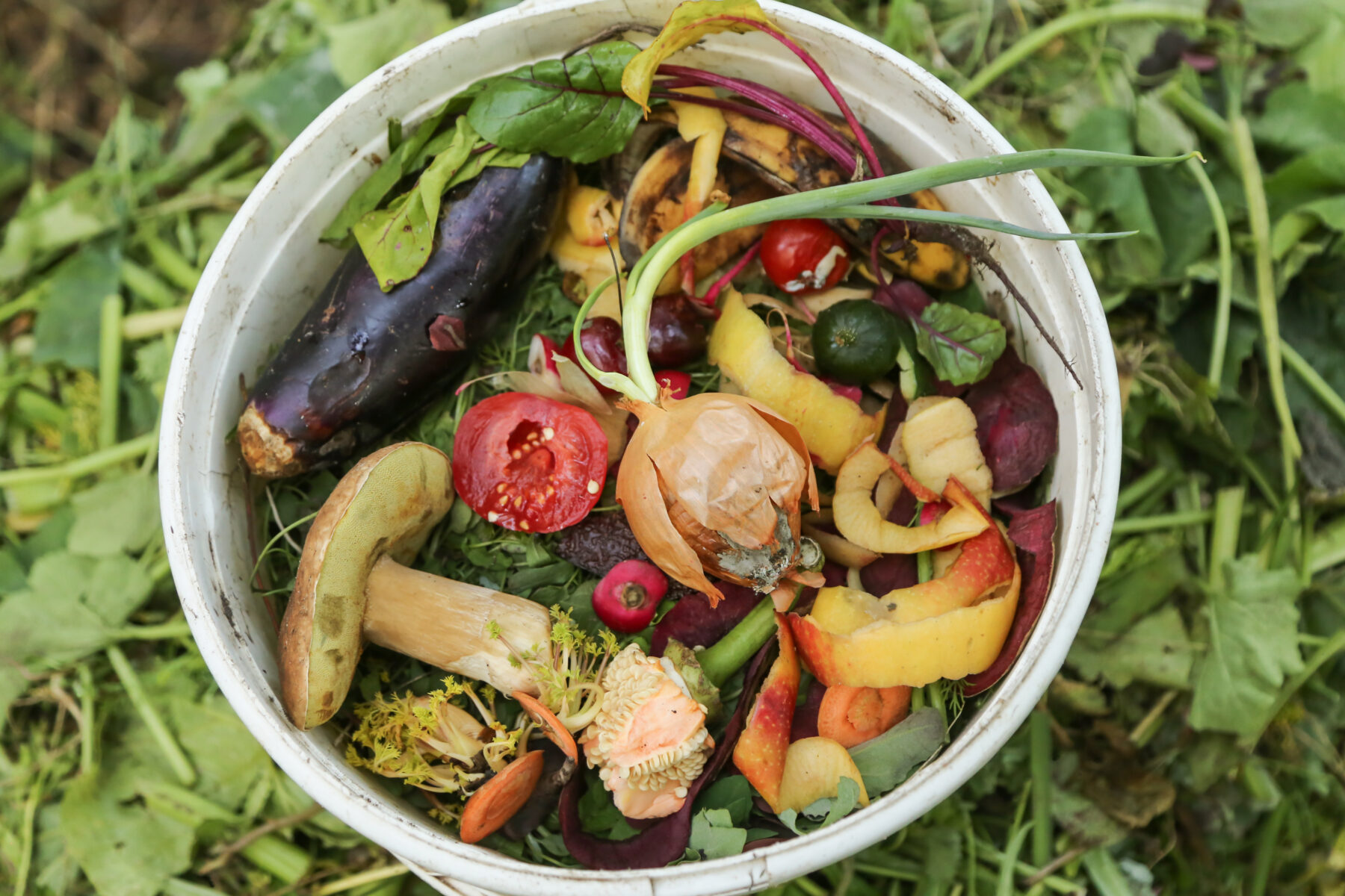 Indy urban farm nonprofit launches free compost program