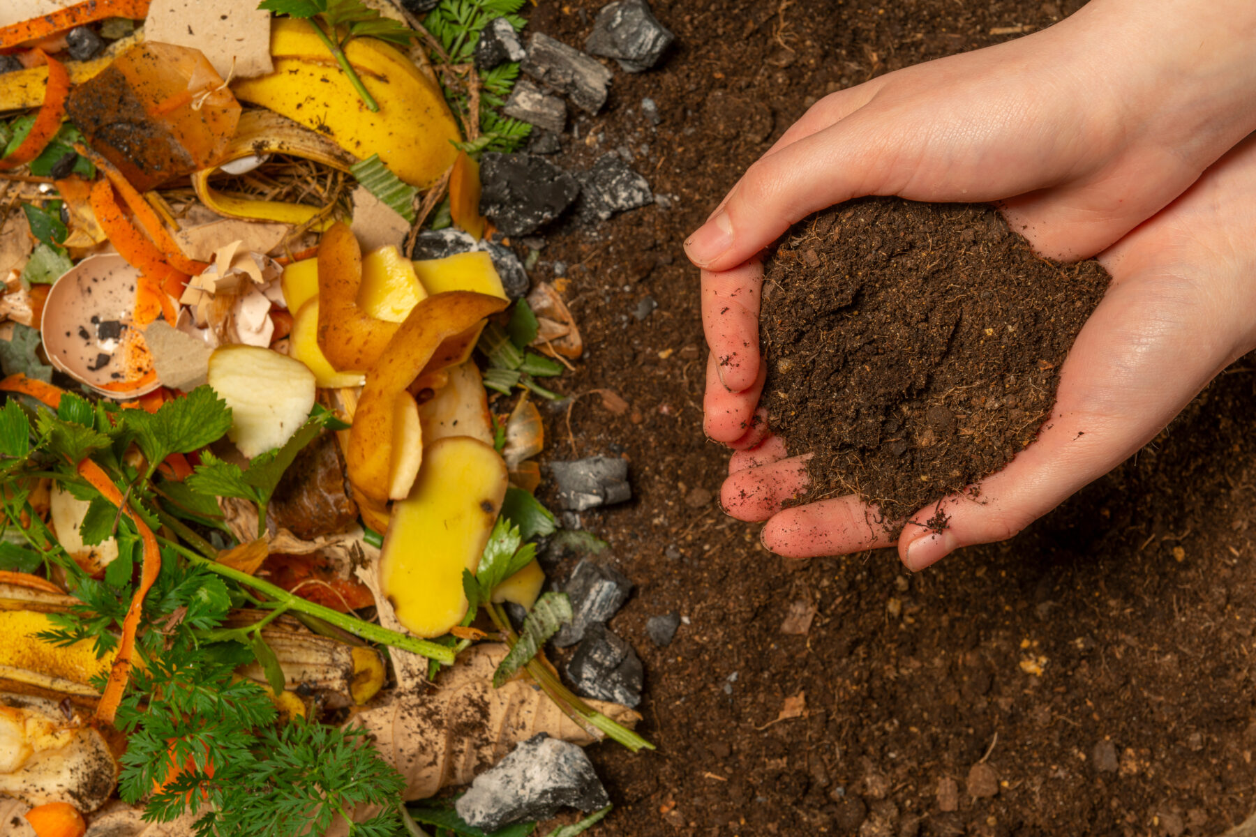 From Scraps to Soil: The Rise of Bokashi as a Composting Alternative