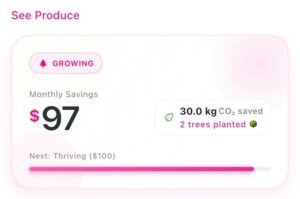 Phone screen showing month dollars and CO2 saved.