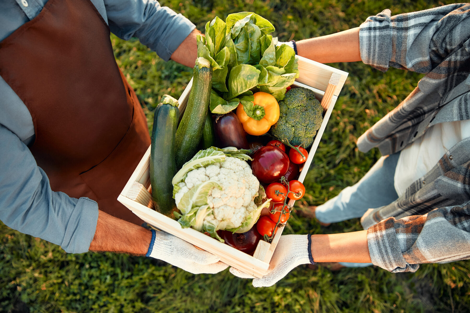 When food waste becomes food security