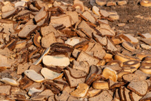 A large pile of discarded bread and bagels on the ground, depicting food waste in an open environment.
