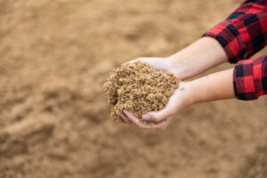 Hands of woman farmer holding pile of brewer's spent grain. Draff as fodder, animal food.