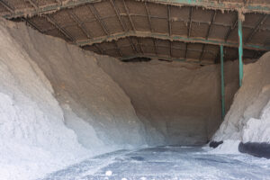 Cotton seed stored in a large shed waiting for further processing in Emerald, Queensland. Gossypium hirsutum.