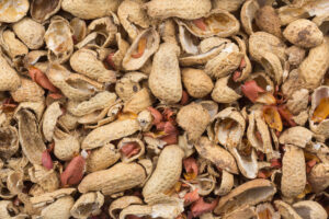 Peanut hulls in the background occupies the entire frame