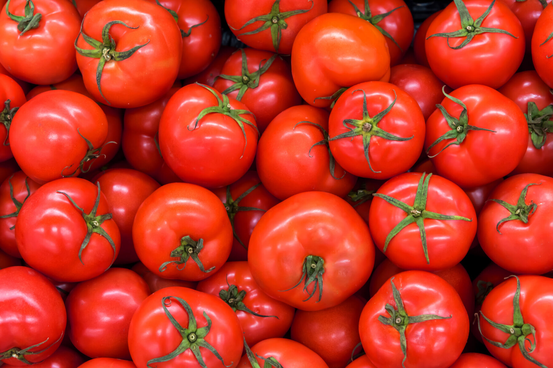 Every pro chef and food scientist we asked said this storage mistake ruins tomatoes