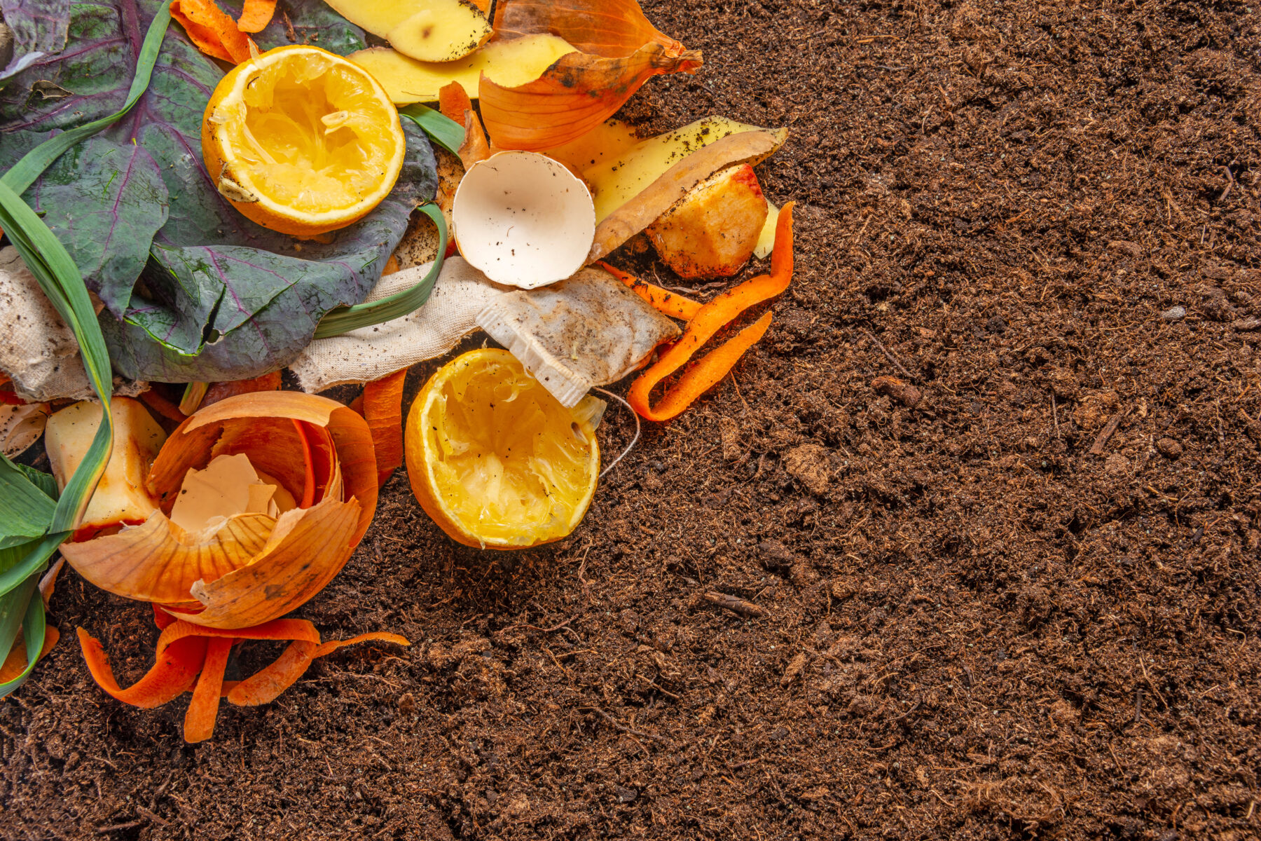 USDA participates in ribbon-cutting ceremony for a waste into nutrient recovery center in Iowa