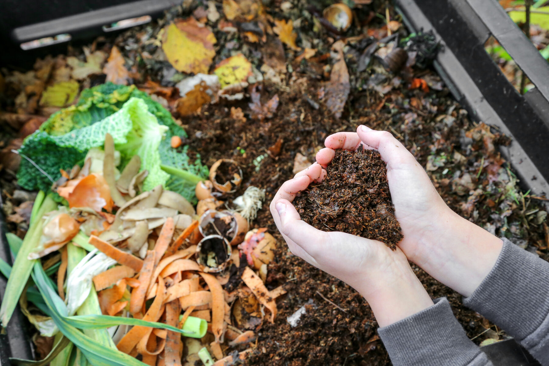 How to start composting this summer and cut food waste at home