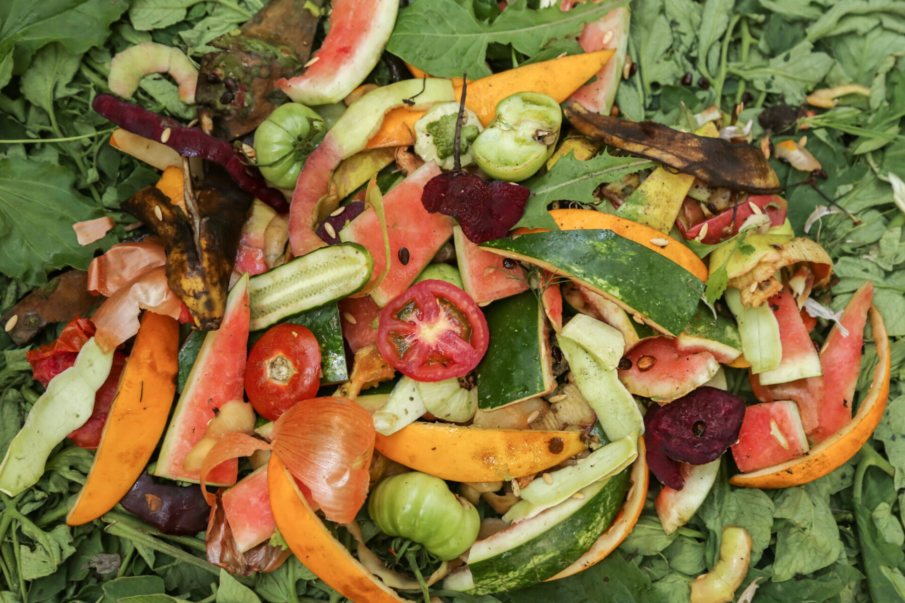 From kitchen scraps to California farms to your table: LASAN’s citywide OrganicsLA campaign reaches millions of Angelenos