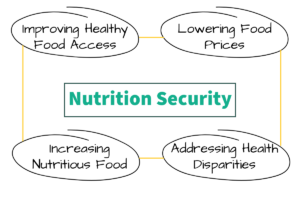 Graphic describing 4 factors of nutrition security • Improving healthy food access • Lowering food prices • Increasing nutritious food • Addressing health disparities