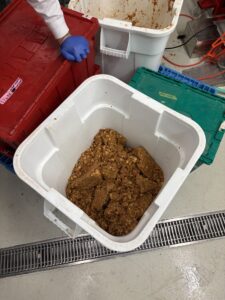 Apple pomace in white bin.